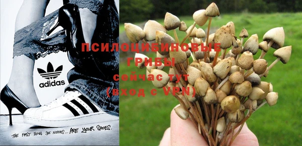 хмурый Слюдянка
