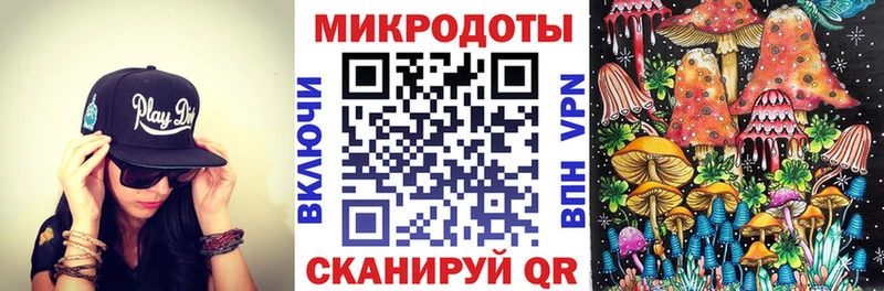 наркотики  Комсомольск  Псилоцибиновые грибы GOLDEN TEACHER 